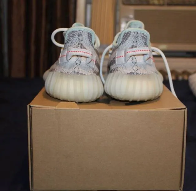 Adidas yeezy boost 350 v2 blue tint