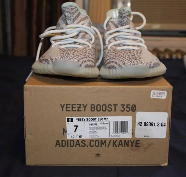 Adidas yeezy boost 350 v2 blue tint