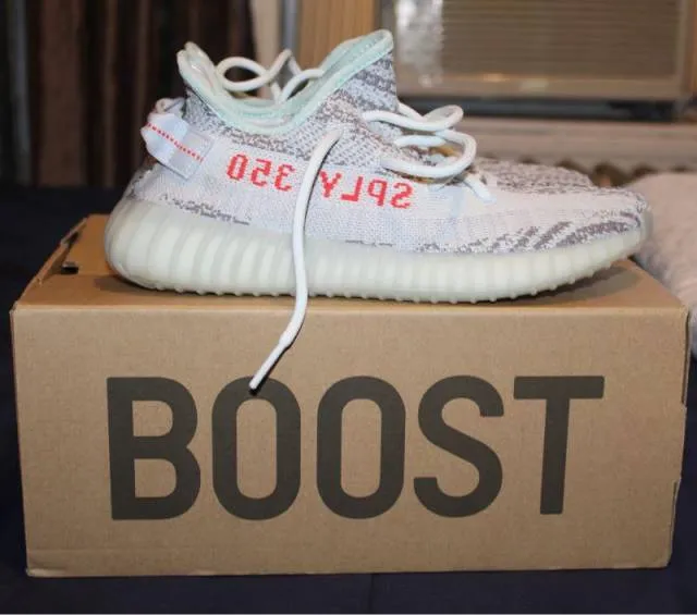 Adidas yeezy boost 350 v2 blue tint