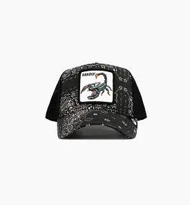 Diamonds and Pearls Paisley Trucker Mens Hat - Black/Beige