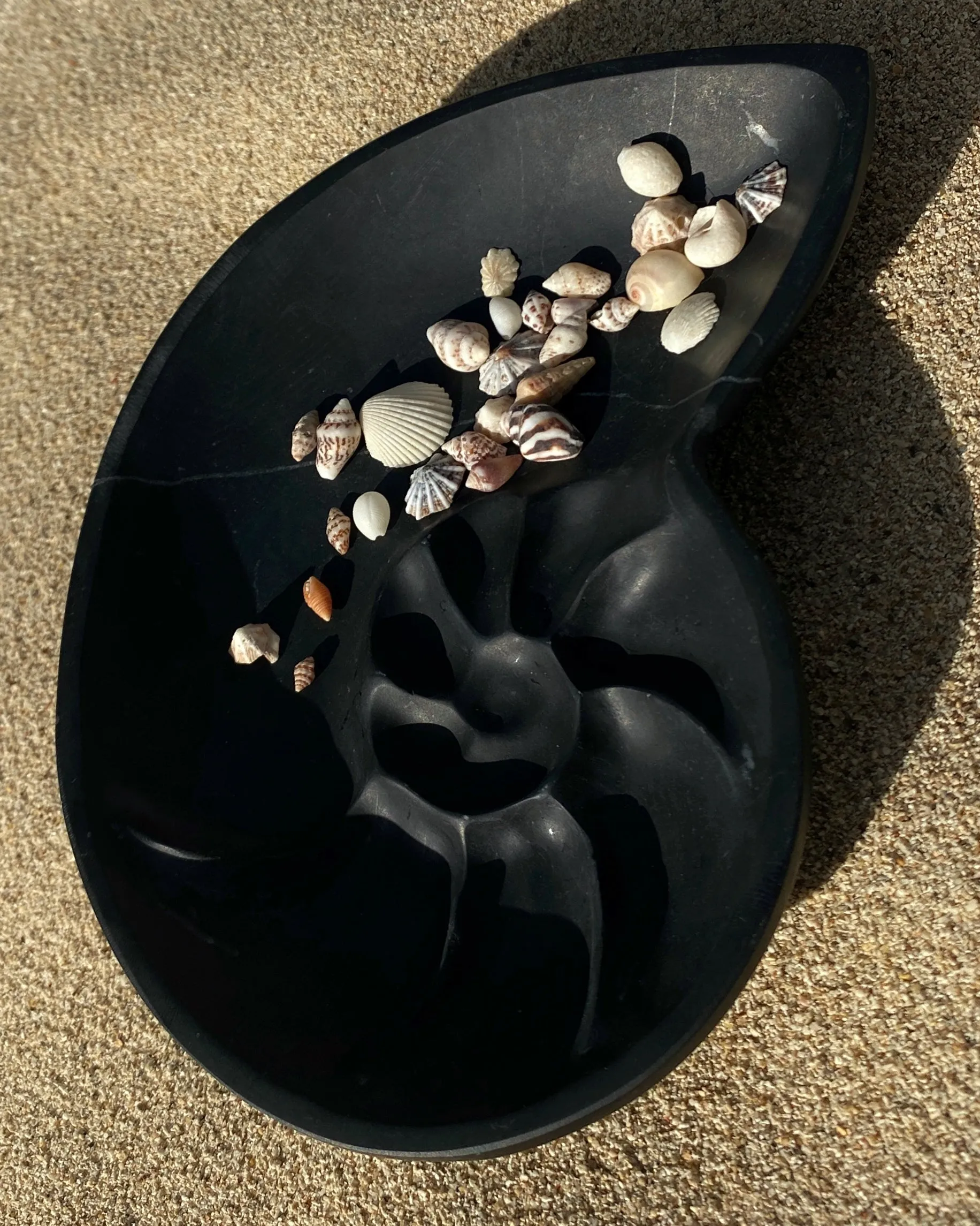 Nautilus Keepsake Dish - Midnight