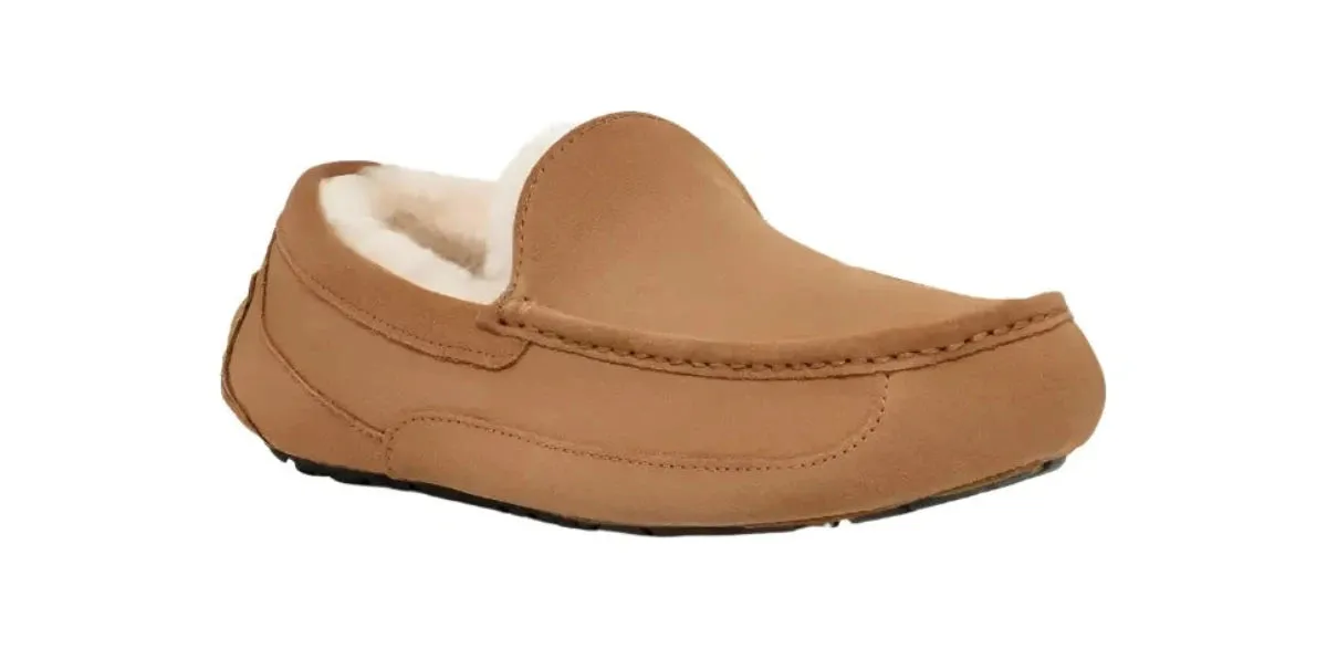 UGG ASCOT MEN'S