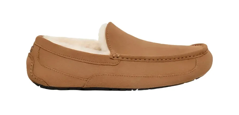 UGG ASCOT MEN'S