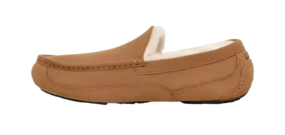 UGG ASCOT MEN'S