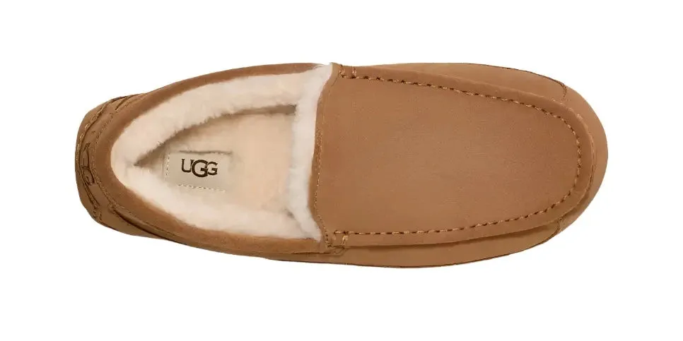 UGG ASCOT MEN'S