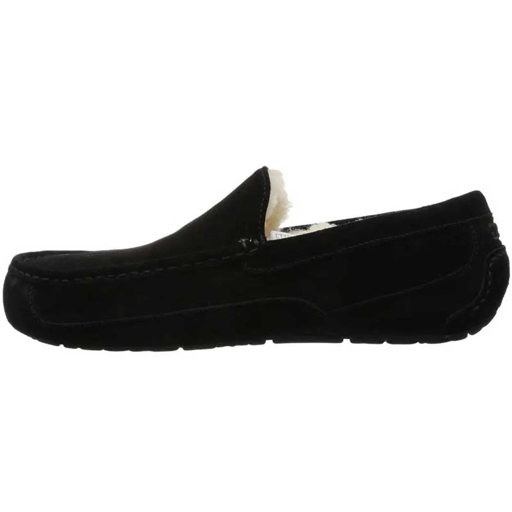 UGG Ascot Slipper Black (Men's)