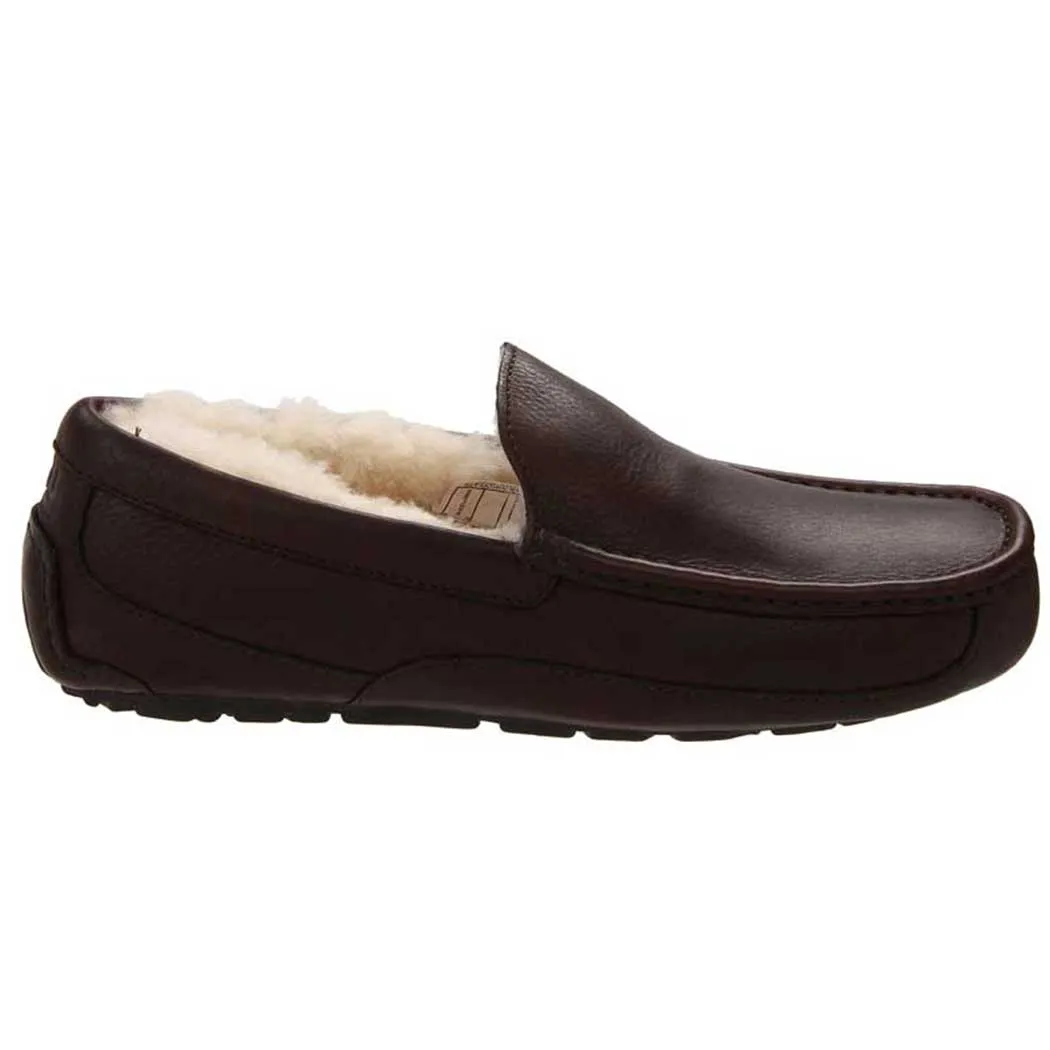 UGG Ascot Slipper Dark Spice  (Men's)