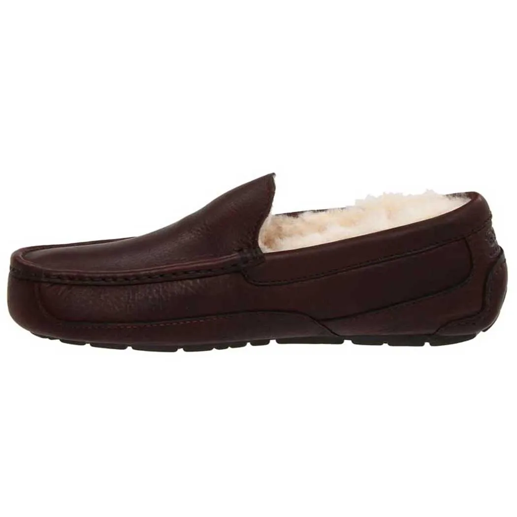 UGG Ascot Slipper Dark Spice  (Men's)