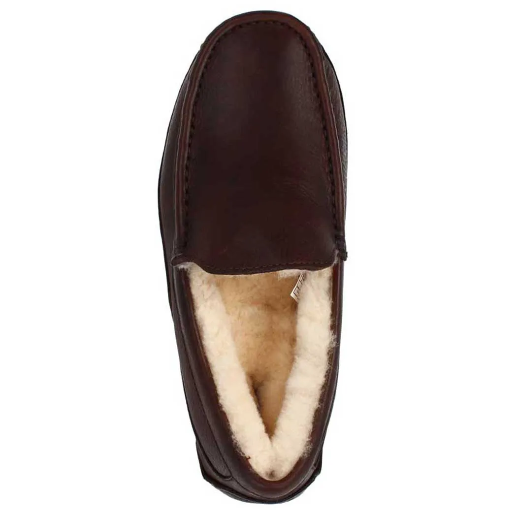 UGG Ascot Slipper Dark Spice  (Men's)