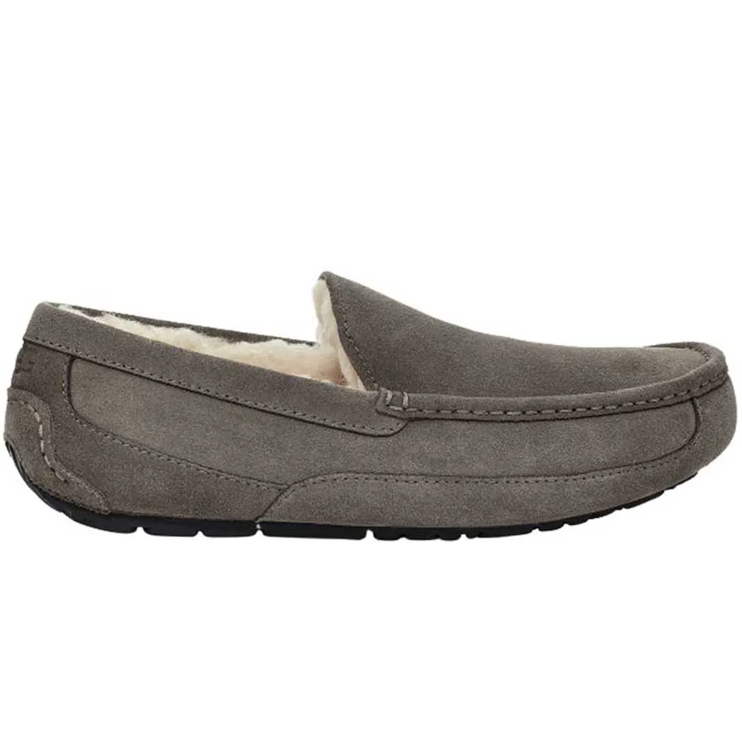 UGG Ascot Slipper Grey (Men's)