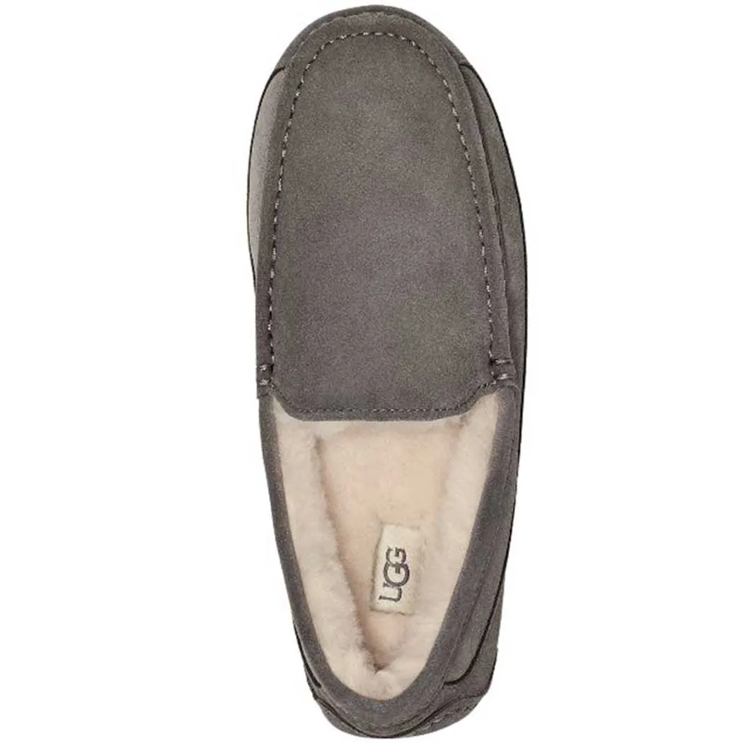 UGG Ascot Slipper Grey (Men's)