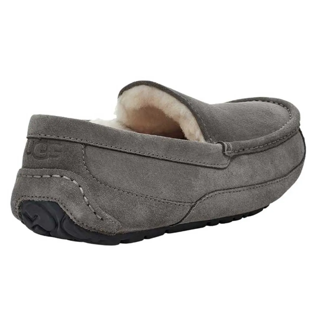 UGG Ascot Slipper Grey (Men's)